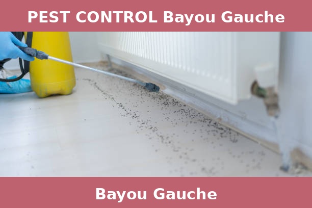 PEST CONTROL Bayou Gauche